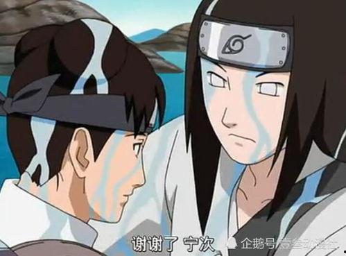 火影忍者宁次最新爆料,宁次揭秘，全新篇章即将开启！  第3张