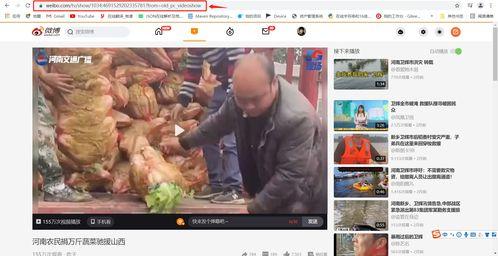 像素超哥爆料视频下载,揭秘视频下载背后的技术奥秘  第3张